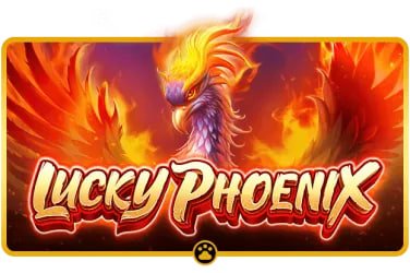 ဘင်ဂိုကတ် Pattern ကိုက်ညီမှု Jackpot ဆုရမြန်မာ